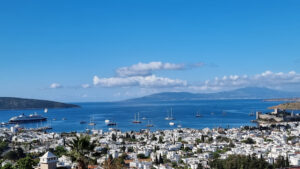 Regnum Escana Villas (12)