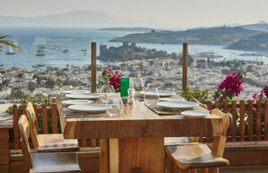 Regnum Escana Villas (22)