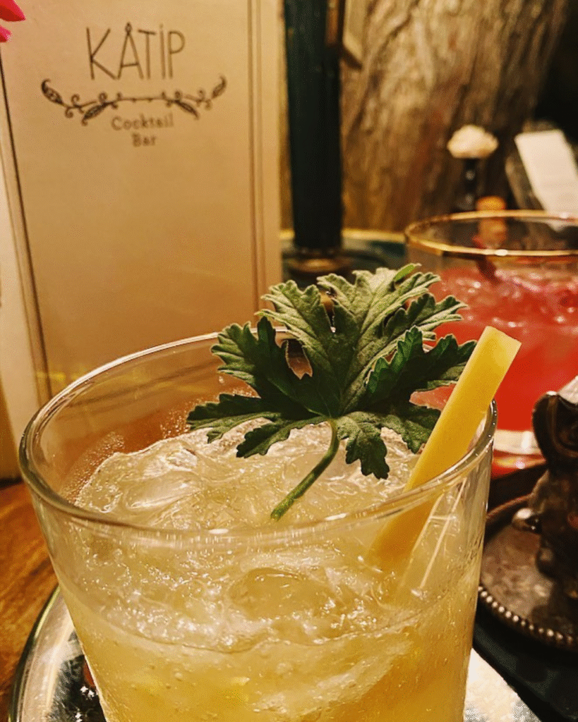 KÂTİP Cocktail Bar – Ha Lâ Bodrum Otel