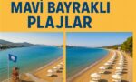 Bodrum Mavi Bayraklı Plajlar Rehberi