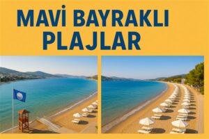 Bodrum Mavi Bayraklı Plajlar Rehberi